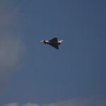 Jet Flugtage Ganderkesee 2008